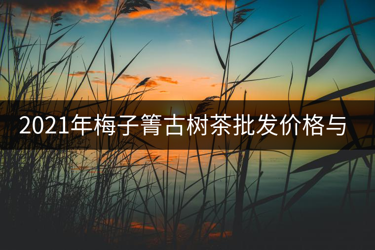 2021年梅子箐古樹茶批發(fā)價格與口感特點