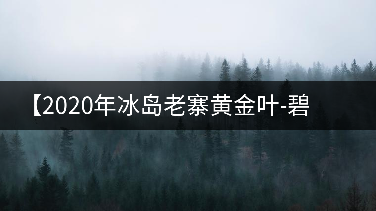【2020年冰島老寨黃金葉-碧波蕩漾一抹香，輕啜半盞甘若露。