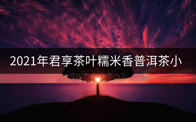 2021年君享茶葉糯米香普洱茶小沱茶餅口感好嗎？