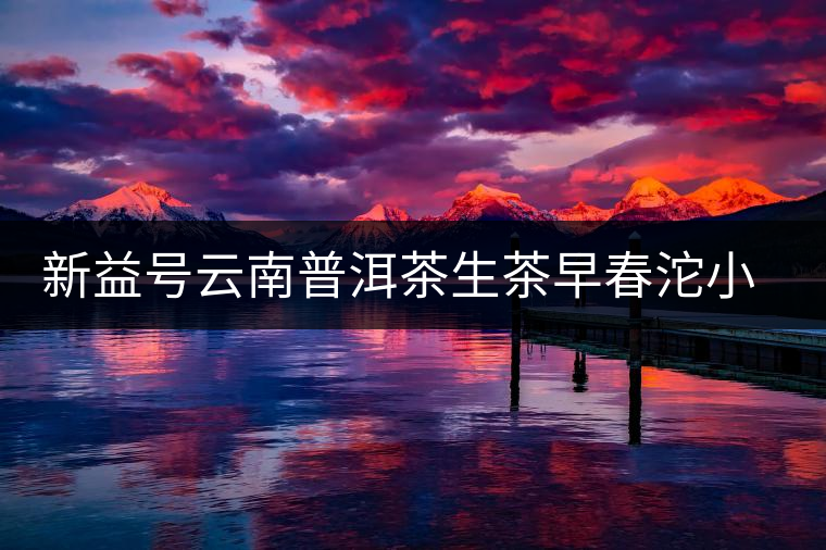 新益號云南普洱茶生茶早春沱小沱茶坨茶滋味如何？