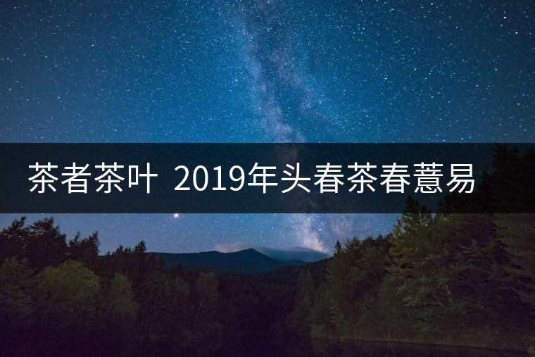 茶者茶葉  2019年頭春茶春薏易武古樹茶  值得收藏嗎？