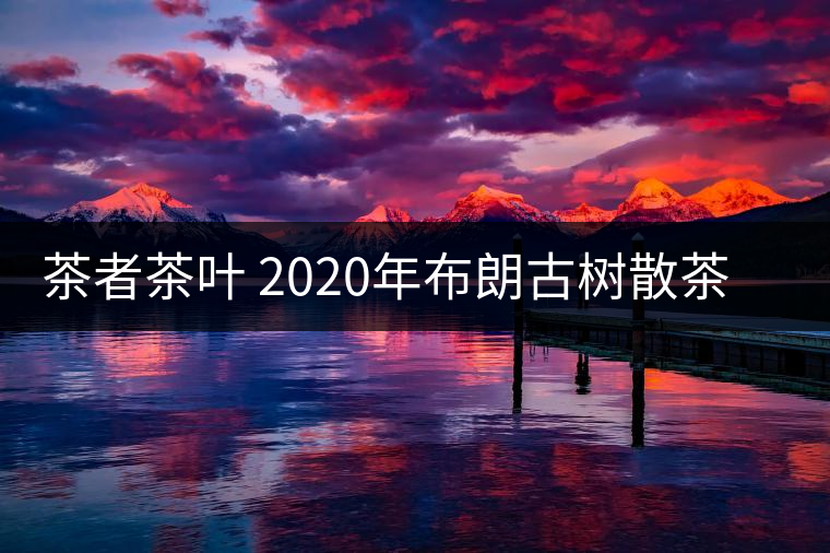 茶者茶葉 2020年布朗古樹散茶  性價(jià)比怎么樣？