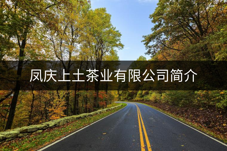 鳳慶上土茶業(yè)有限公司簡(jiǎn)介 鳳慶上土茶業(yè)有限公司簡(jiǎn)介