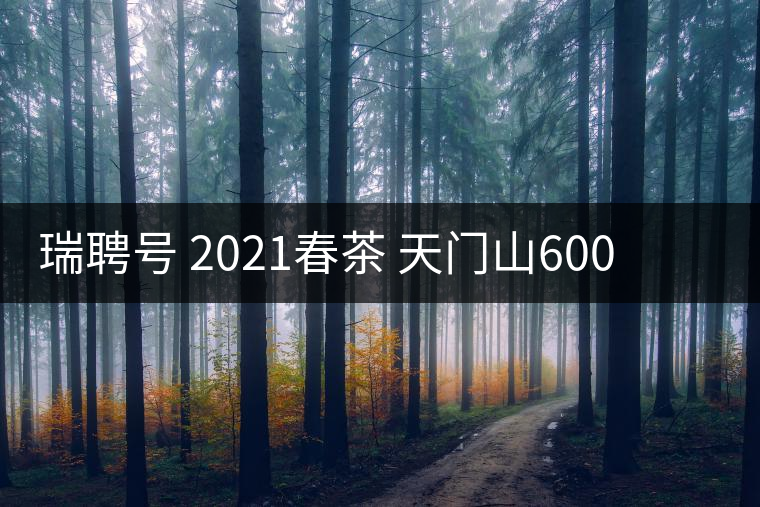 瑞聘號(hào) 2021春茶 天門山600 頭春古樹口感怎么樣？