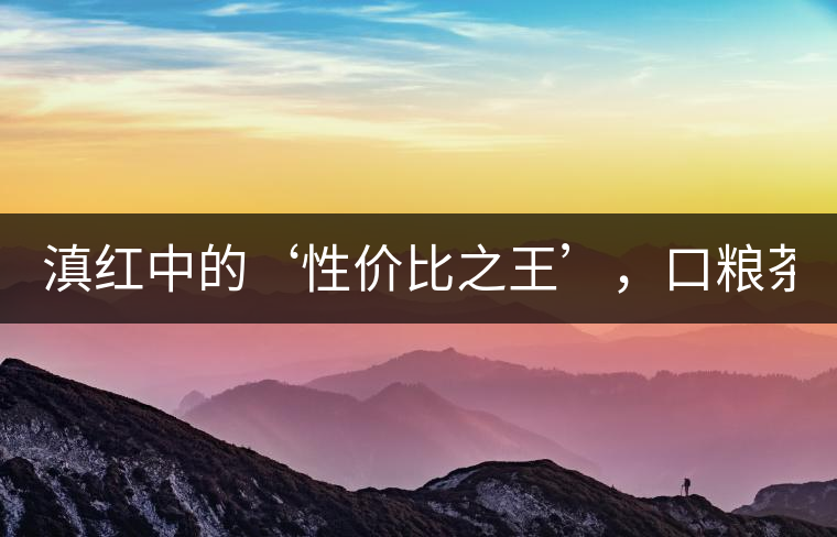 滇紅中的‘性價比之王’，口糧茶首選！