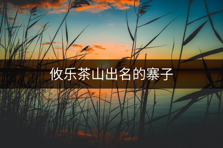 攸樂(lè)茶山出名的寨子