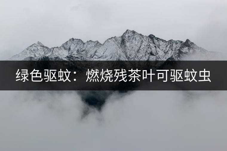 綠色驅蚊：燃燒殘茶葉可驅蚊蟲