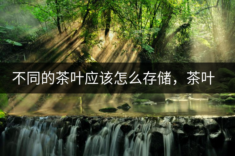 不同的茶葉應(yīng)該怎么存儲(chǔ)，茶葉罐又該如何選擇？