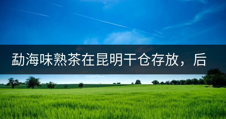 勐海味熟茶在昆明干倉存放，后期轉(zhuǎn)化如何呢？