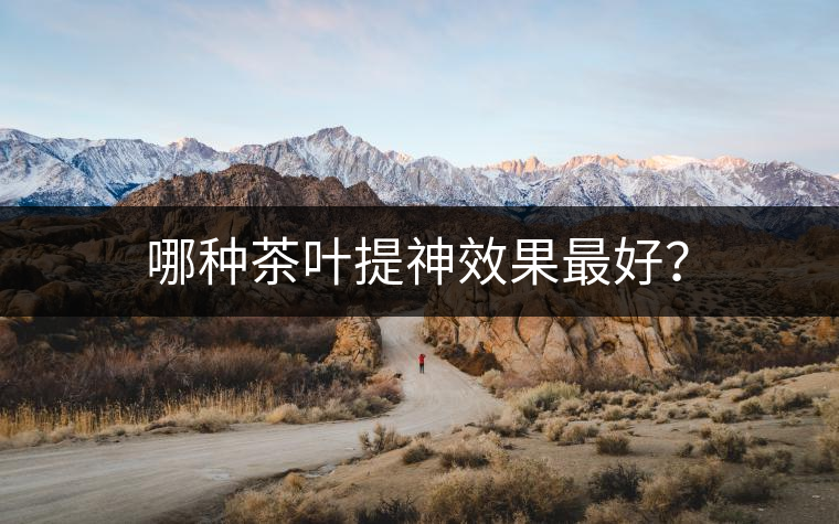 哪種茶葉提神效果最好？
