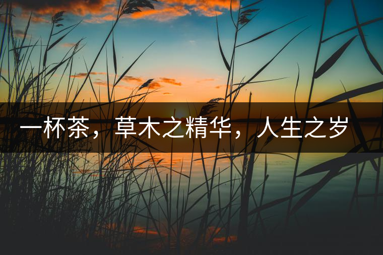一杯茶，草木之精華，人生之歲月