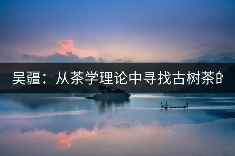 吳疆：從茶學(xué)理論中尋找古樹茶的鑒別方法？（讀書筆記3）