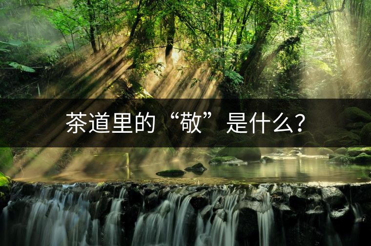 茶道里的“敬”是什么？
