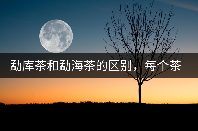 勐庫(kù)茶和勐海茶的區(qū)別，每個(gè)茶友都該了解的選茶常識(shí)！