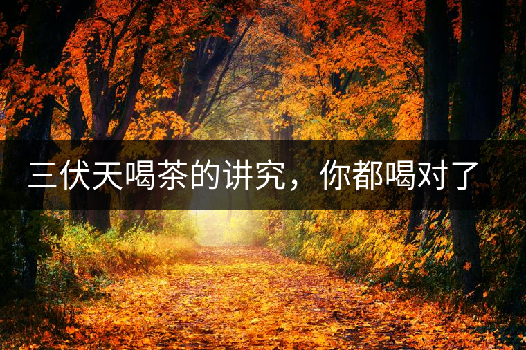 三伏天喝茶的講究，你都喝對了嗎？