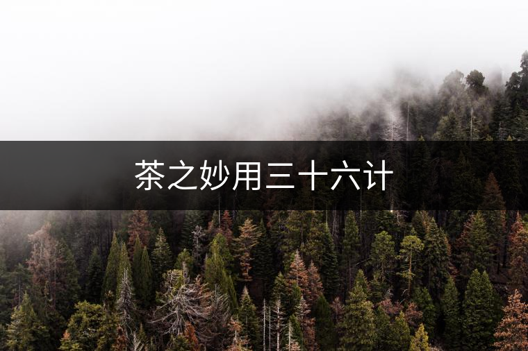 茶之妙用三十六計(jì)