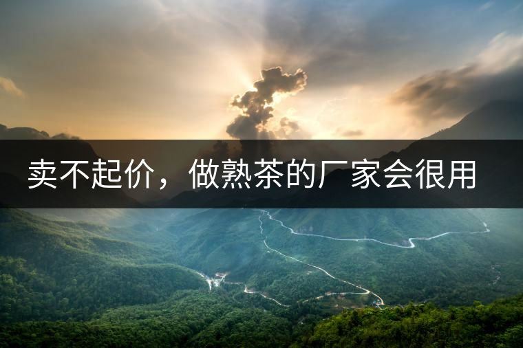 賣不起價，做熟茶的廠家會很用心生產(chǎn)熟茶嗎？