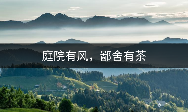庭院有風(fēng)，鄙舍有茶