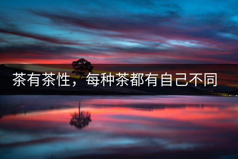 茶有茶性，每種茶都有自己不同的正確泡法