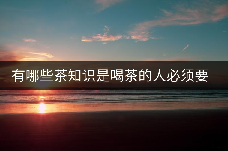 有哪些茶知識是喝茶的人必須要懂的？