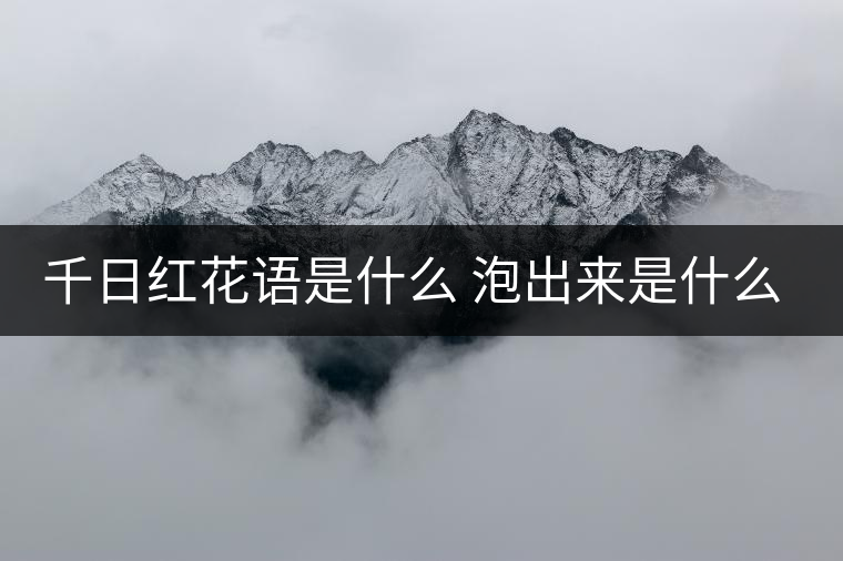 千日紅花語(yǔ)是什么 泡出來(lái)是什么顏色