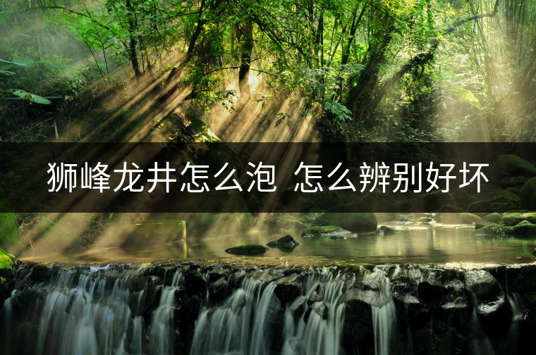 獅峰龍井怎么泡 怎么辨別好壞 獅峰龍井怎么泡 怎么辨別好壞