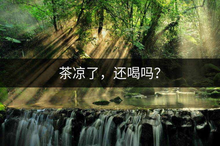 茶涼了，還喝嗎？