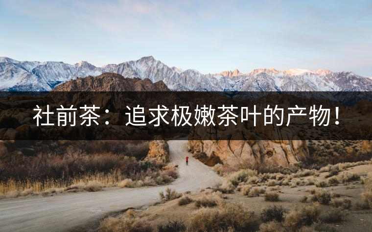 社前茶：追求極嫩茶葉的產(chǎn)物！