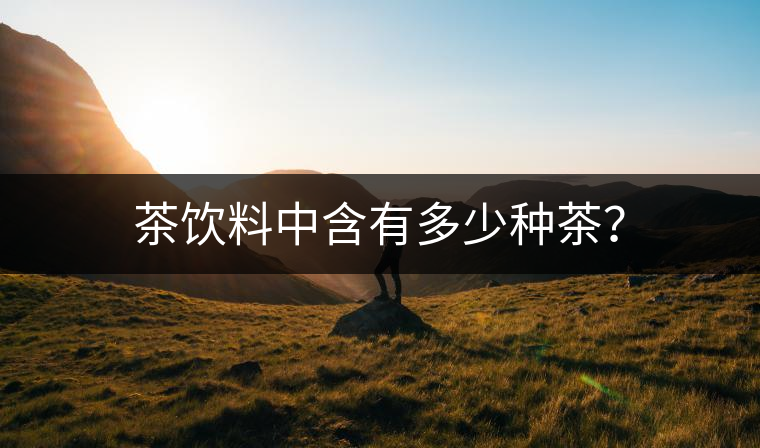 茶飲料中含有多少種茶？