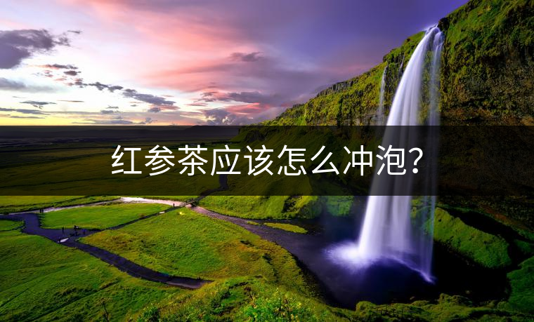 紅參茶應(yīng)該怎么沖泡？