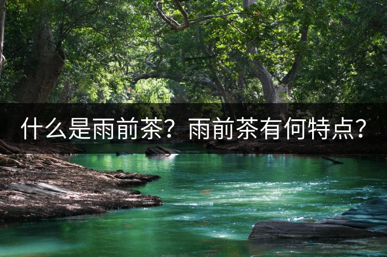 什么是雨前茶？雨前茶有何特點？