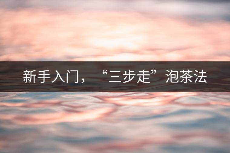新手入門，“三步走”泡茶法