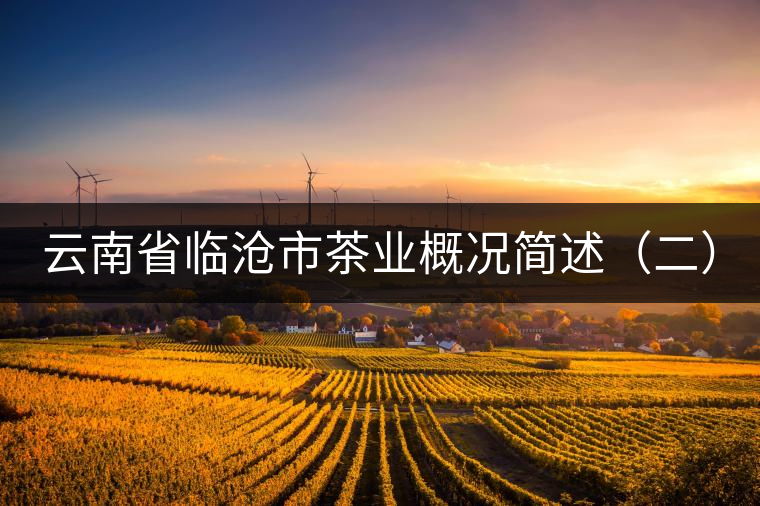 云南省臨滄市茶業(yè)概況簡(jiǎn)述(二) 云南省臨滄市茶業(yè)概況簡(jiǎn)述(二)