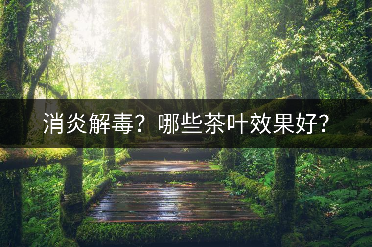 消炎解毒？哪些茶葉效果好？