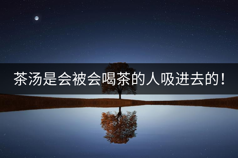 茶湯是會(huì)被會(huì)喝茶的人吸進(jìn)去的！