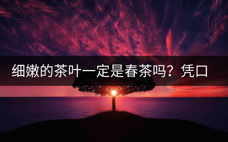 細(xì)嫩的茶葉一定是春茶嗎？憑口感鑒別春茶的方法