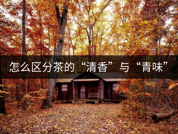 怎么區(qū)分茶的“清香”與“青味”？