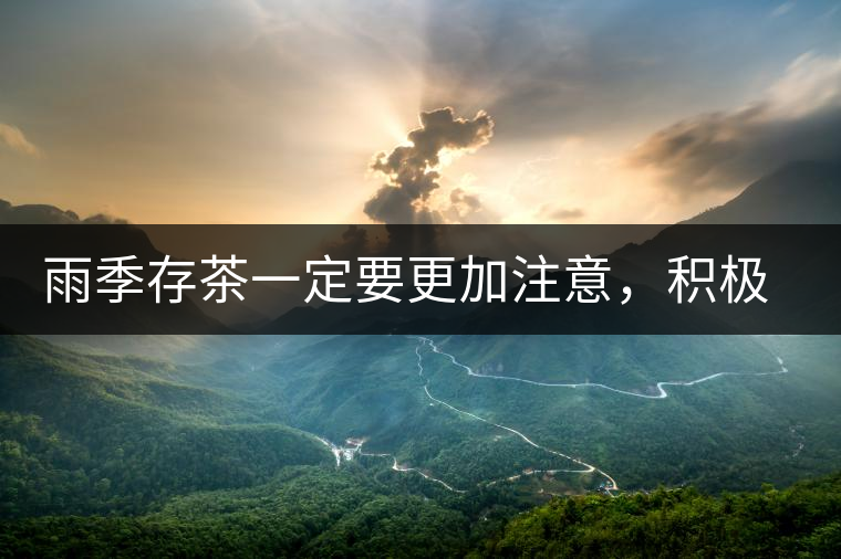 雨季存茶一定要更加注意，積極做好防潮工作