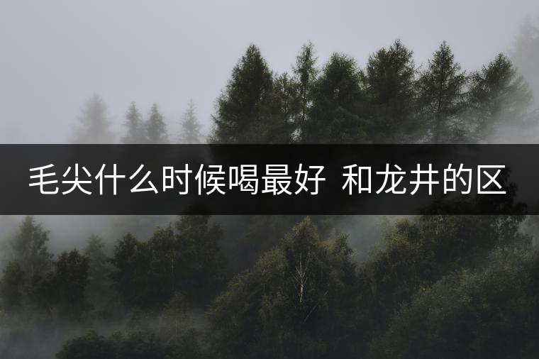 毛尖什么時候喝最好 和龍井的區(qū)別 毛尖什么時候喝最好 和龍井的區(qū)別