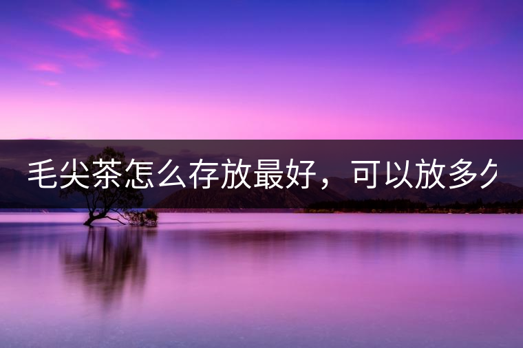 毛尖茶怎么存放最好，可以放多久？