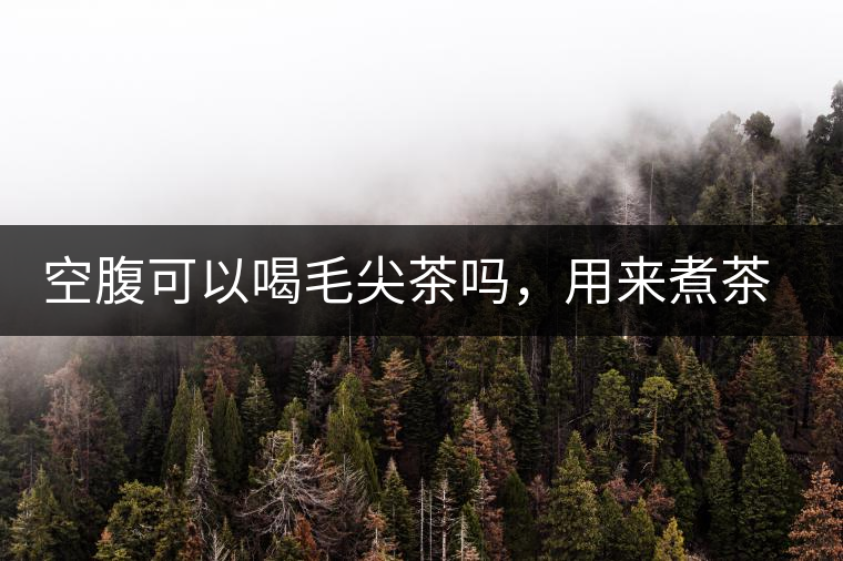 空腹可以喝毛尖茶嗎，用來煮茶葉蛋怎么樣？