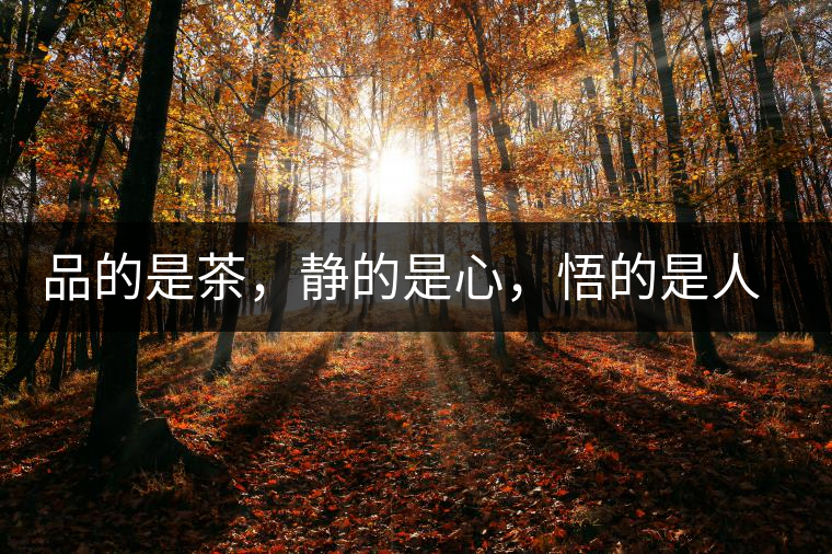 品的是茶，靜的是心，悟的是人生，滌的是靈魂