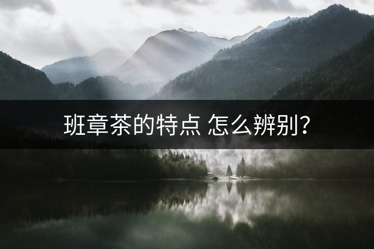 班章茶的特點(diǎn) 怎么辨別？