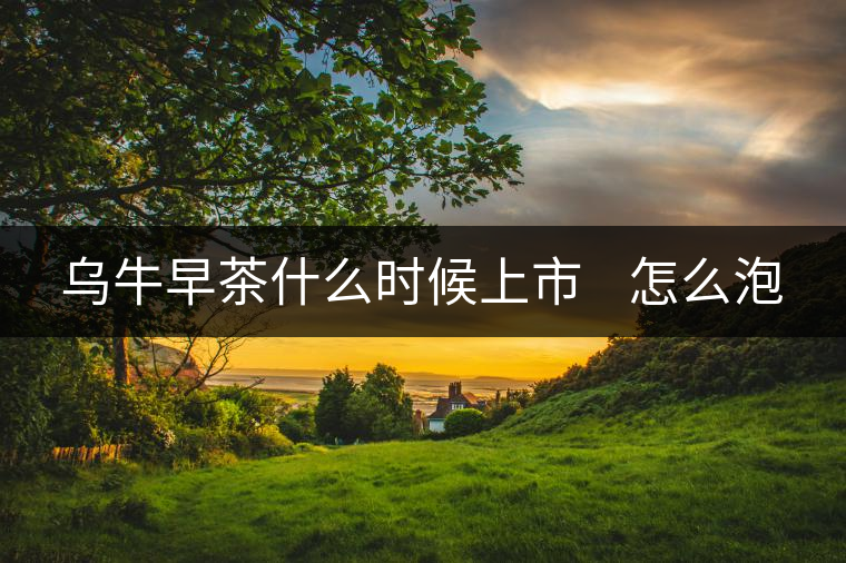 烏牛早茶什么時(shí)候上市 怎么泡 烏牛早茶什么時(shí)候上市 怎么泡