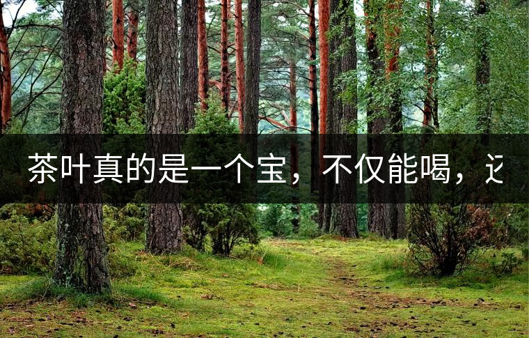 茶葉真的是一個(gè)寶，不僅能喝，還能用！