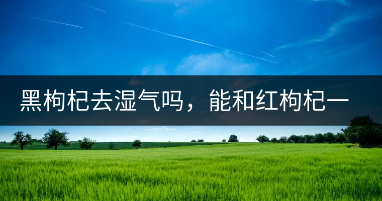 黑枸杞去濕氣嗎，能和紅枸杞一起泡嗎？