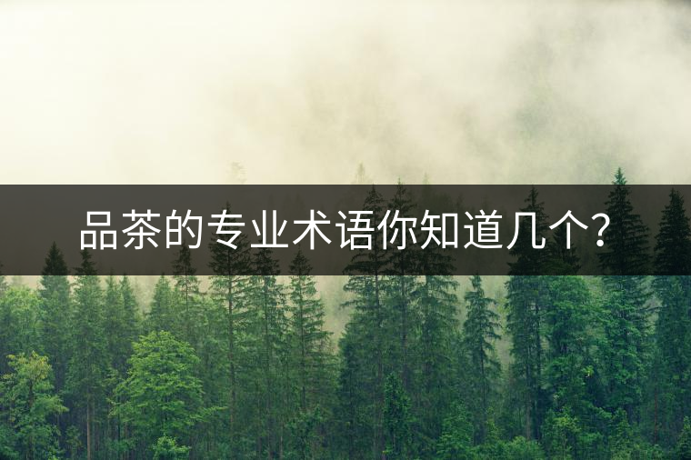 品茶的專業(yè)術語你知道幾個？