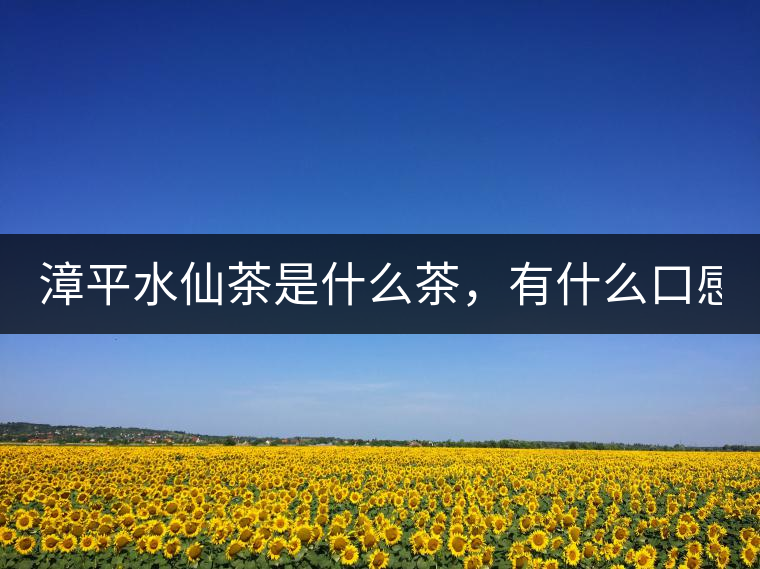 漳平水仙茶是什么茶，有什么口感特點(diǎn)！