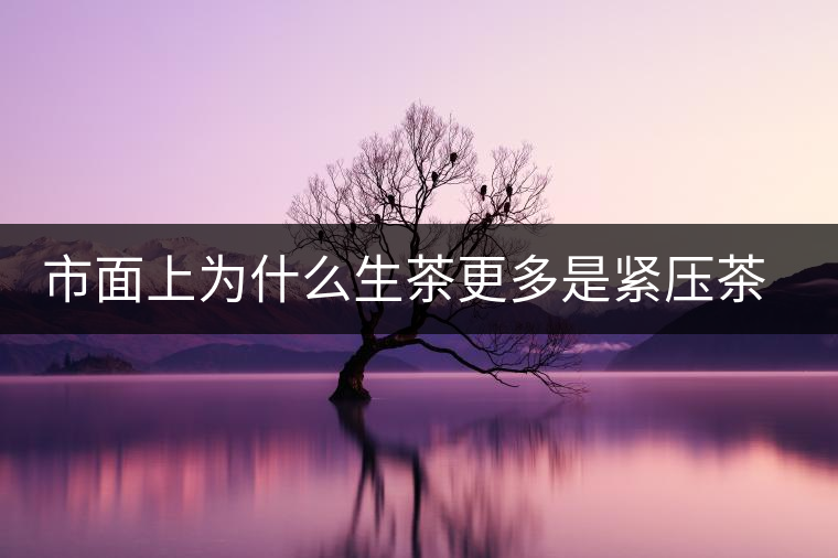 市面上為什么生茶更多是緊壓茶而非散茶？