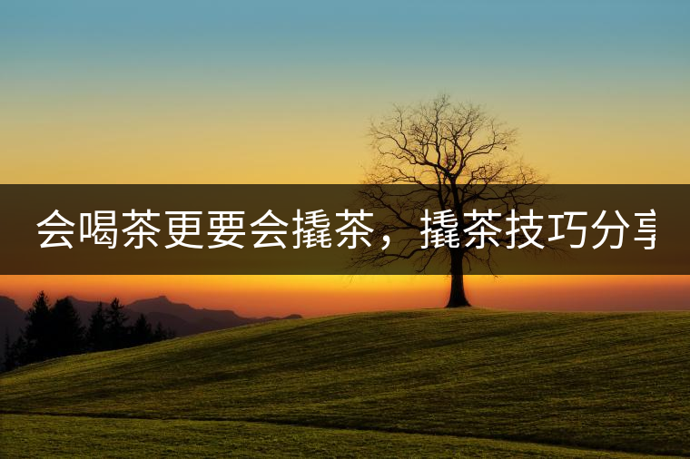 會喝茶更要會撬茶，撬茶技巧分享！